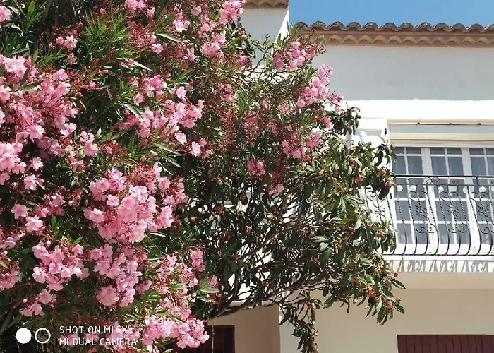 Les Lauriers Roses