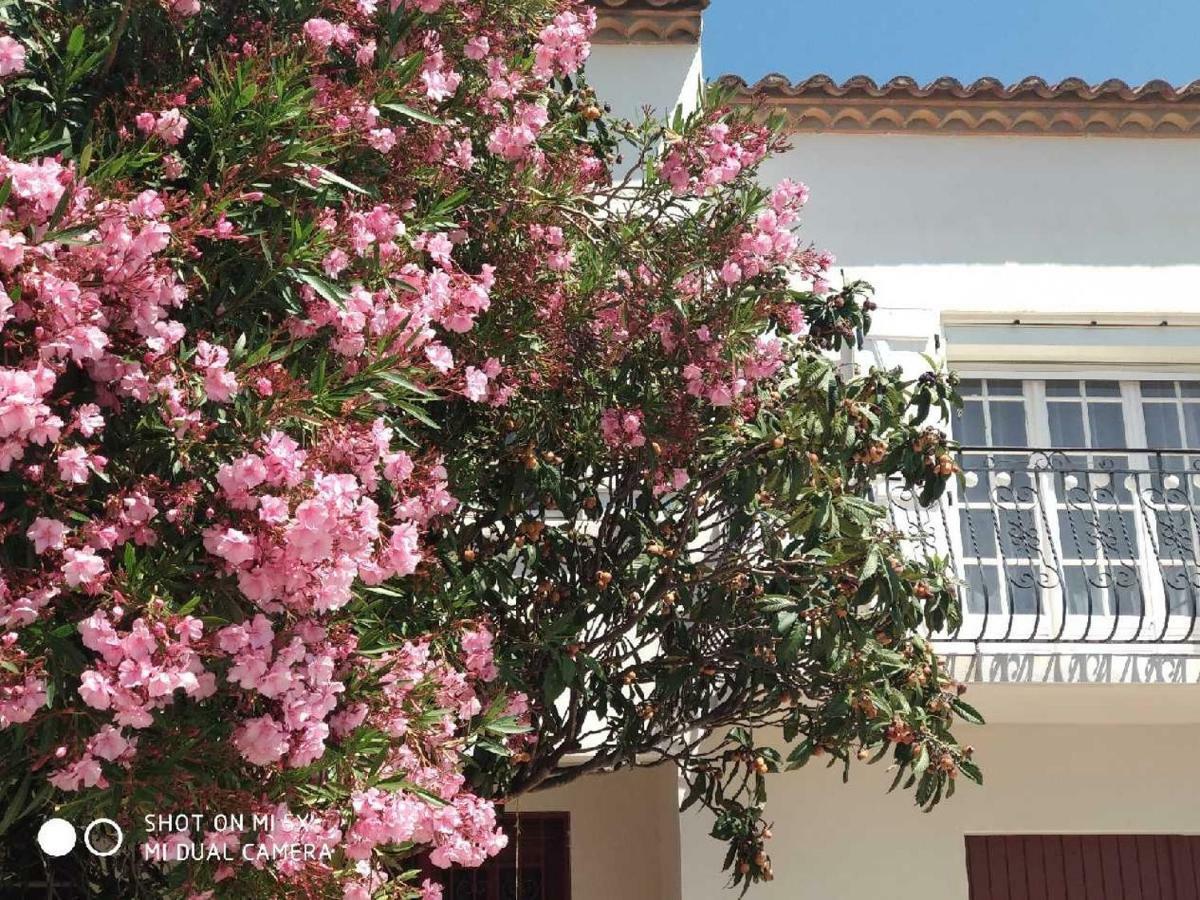 Les Lauriers Roses Narbonne